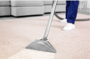 carpet cleaning SA