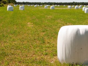 baling twine wholesale price
