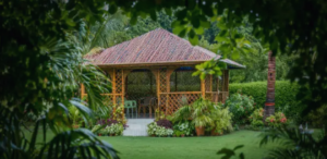bamboo pergolas