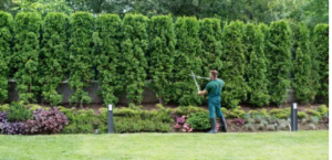 gardening services near me