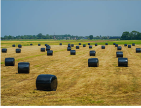 silage wrap