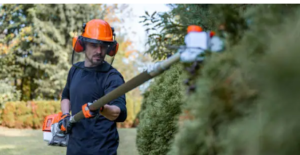 gardening services Adelaide